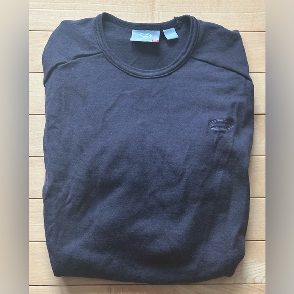 Icebreaker 260 women's long sleeve top - deep plum - Picture 10 of 12